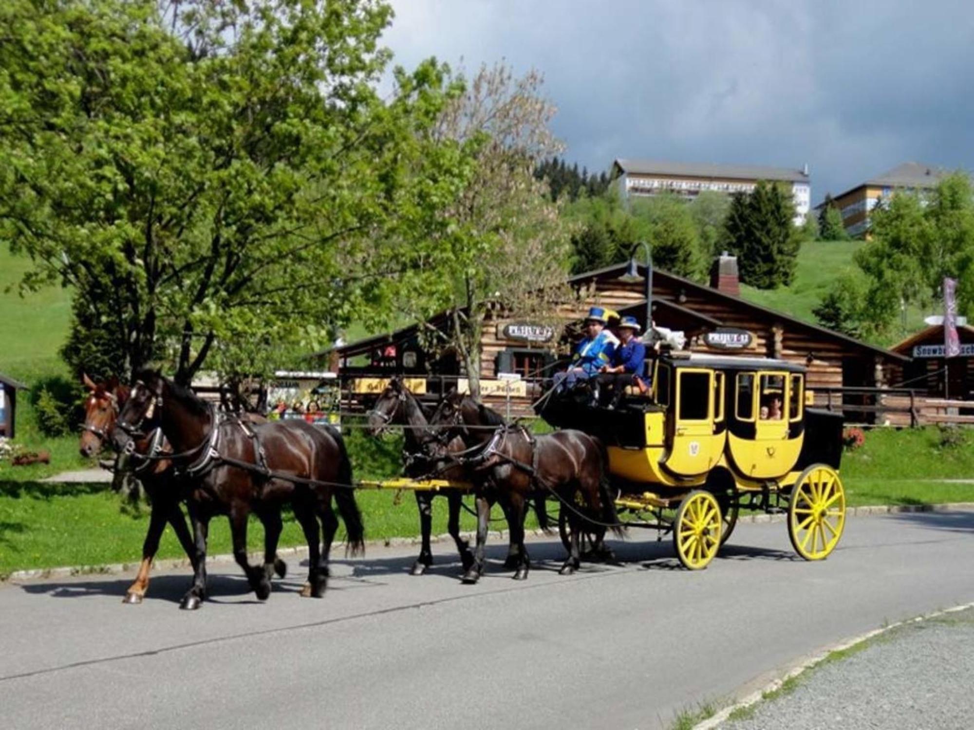 Ferienhaus Karin Cranzahl Bagian luar foto